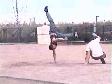 Le combat