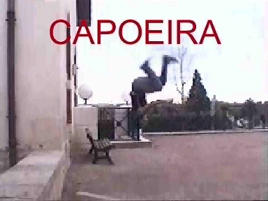 Salto arrière
